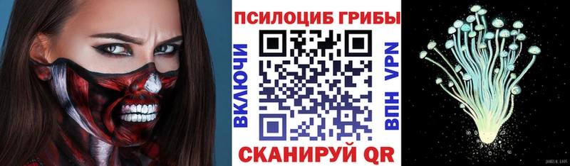 Галлюциногенные грибы Psilocybine cubensis  Егорьевск 