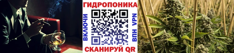Конопля план  Егорьевск 